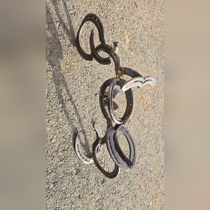 Unique Horseshoe Art Sculpture